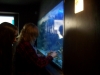 oceanarium_2008_19d