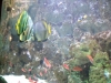 oceanarium_2008_21d